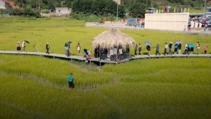 Lễ hội mùa vàng miền Soóng Cọ ở Tiên Yên.