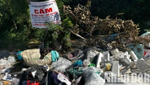 Vô tư đổ rác ngay biển cấm đổ rác. (Ảnh: BẢO KHÁNH)