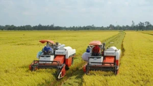 Cơ giới hoá đồng bộ trong sản xuất lúa tại huyện Yên Khánh. (Ảnh: Yến Trinh)