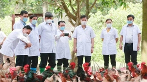 Khách tham quan trang trại gà Mía giống. 