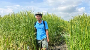 ThS Lê Thanh Phong, Phó Viện trưởng Biến đổi khí hậu, Trường đại học An Giang (Đại học Quốc gia Thành phố Hồ Chí Minh).