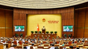 Quốc hội thảo luận về cơ chế, chính sách phát triển kinh tế tư nhân (Nguồn: TTXVN)