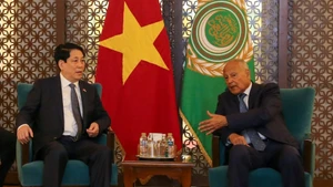 Chủ tịch nước Lương Cường gặp Tổng Thư ký Liên đoàn Arab Ahmed Aboul Gheit. (Ảnh XUÂN KỲ)