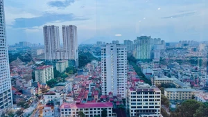 Thị trường thể hiện sự tăng trưởng ở hầu hết các phân khúc qua 6 tháng đầu năm. (Ảnh: HNV)