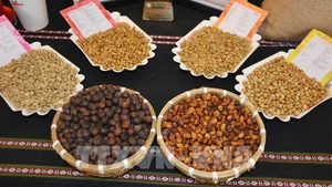 Cà-phê đặc sản Việt Nam. (Ảnh: HOÀI THU/TTXVN)