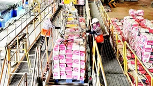 Dây chuyền sản xuất xi-măng tại Công ty INSEE.