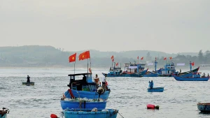 Ngư dân Quảng Ngãi vươn khơi bám biển, thực hiện nghiêm quy định chống khai thác IUU. (Ảnh: LƯU HƯƠNG)