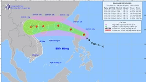 Bản đồ dự báo quỹ đạo và cường độ bão Wipha phát lúc 14 giờ ngày 18/7.