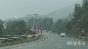 Dự báo phía đông Bắc Bộ có mưa to và dông. (Ảnh minh họa: Đ.T)