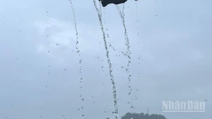 Dự báo khu vực Tây Bắc có mưa vừa, mưa to, có nơi mưa rất to. (Ảnh minh họa: Đ.T)