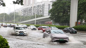 Các phương tiện giao thông di chuyển qua khu vực ngập lụt ở Thâm Quyến, tỉnh Quảng Đông, miền nam Trung Quốc, ngày 20/7 sau khi bão Wipha đổ bộ vào tỉnh này hồi 18 giờ 50 phút. (Ảnh: Tân Hoa xã) 