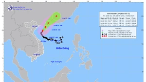 Bản đồ dự báo quỹ đạo và cường độ bão số 01 lúc 5 giờ ngày 14/6/2025.