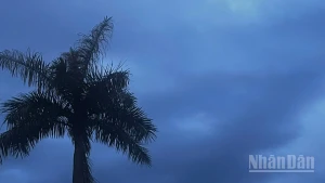 Dự báo Bắc Bộ có mưa rào và dông, có nơi mưa rất to. (Ảnh minh họa: Đ.T)