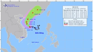 Bản đồ dự báo bão.