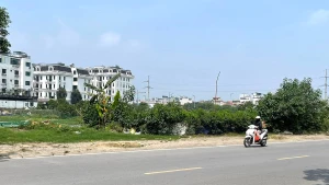 Khu vực Hà Nội dự báo ngày có nắng nóng. (Ảnh minh họa: Đ.T)