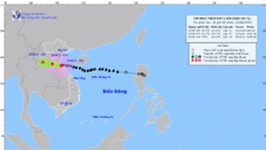 Bản đồ dự báo quỹ đạo và cường độ bão số 5 phát lúc 20 giờ ngày 25/8.