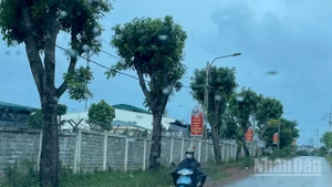Dự báo khu vực Bắc Bộ có mưa lớn cục bộ. (Ảnh minh họa: Đ.T)