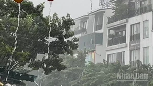 Dự báo khu vực Hà Nội có mưa rào và dông. (Ảnh minh họa: Đ.T)