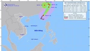  Bản đồ dự báo quỹ đạo và cường độ bão lúc 14 giờ ngày 6/7.