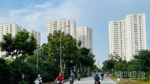 Dự báo khu vực Hà Nội ngày nắng, chiều tối và đêm có mưa rào. (Ảnh minh họa: Đ.T)