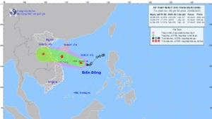 Bản đồ dự báo quỹ đạo và cường độ áp thấp nhiệt đới lúc 8 giờ ngày 29/8.