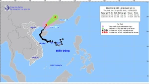 Bản đồ dự báo quỹ đạo và cường độ bão số 1 lúc 20 giờ ngày 14/6/2025.