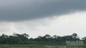Dự báo khu vực Bắc Bộ có mưa rào và dông rải rác. (Ảnh minh họa: Đ.T)