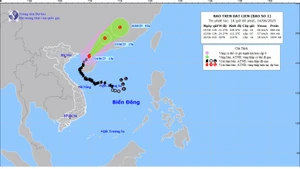 Bản đồ dự báo quỹ đạo và cường độ bão số 1 lúc 14 giờ ngày 14/6/2025.