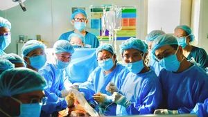 Các y, bác sĩ trong ca can thiệp tim bào thai cho sản phụ người Singapore.
