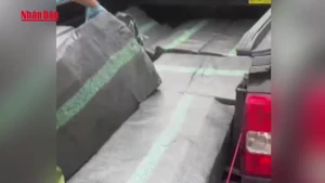 [Video] Bắt giữ xe bán tải chở hơn 200kg pháo trên quốc lộ