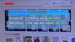 [Video] Người Việt chi đậm mua hàng online