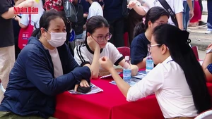 [Video] Hơn 310.000 thí sinh không xét tuyển đại học