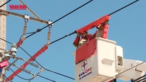 [Video] Đề xuất tính khoản lỗ, chênh lệch tỷ giá của EVN vào giá điện