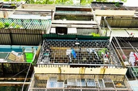 Cư xá Lý Thường Kiệt, phường Diên Hồng, Thành phố Hồ Chí Minh trong tình trạng cũ, nhiều “chuồng cọp”, tiềm ẩn nguy cơ cháy nổ.