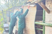 Cán bộ, chiến sĩ Đồn Biên phòng Na Ngoi hỗ trợ bà con nhân dân che chắn chuồng trại. (Ảnh: LÊ THẠCH)
