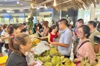Người dân Hải Phòng tham gia, ủng hộ tiêu thụ sầu riêng của Cần Thơ.