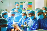 Các y, bác sĩ trong ca can thiệp tim bào thai cho sản phụ người Singapore.