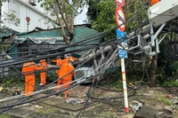 Công nhân điện lực ngày đêm khắc phục điện sau bão số 10.