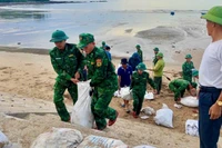 Cán bộ chiến sĩ Đồn Biên phòng Quỳnh Phương tích cực tham gia gia cố đê biển thuộc phường Tân Minh và phường Tân Mai.
