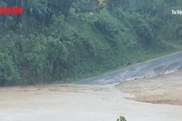 [Video] Cảnh báo mưa lớn, gió giật mạnh tại nhiều khu vực trên cả nước