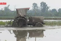 [Video] Từ 1/7, tổng điều tra nông thôn, nông nghiệp năm 2025