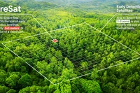 Công nghệ sẽ giúp đổi phó cháy rừng hiệu quả hơn. Ảnh: NATURE