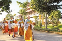 Trong khuôn khổ Đại lễ Phật đản Liên hợp quốc Vesak 2025 hàng vạn đại biểu, tăng ni, phật tử trong nước và đại biểu đến từ 85 quốc gia, vùng lãnh thổ đã tham dự. (Ảnh: TTXVN)