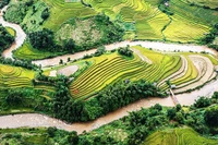 Ruộng bậc thang Mù Cang Chải. (Ảnh: THÀNH ĐẠT)