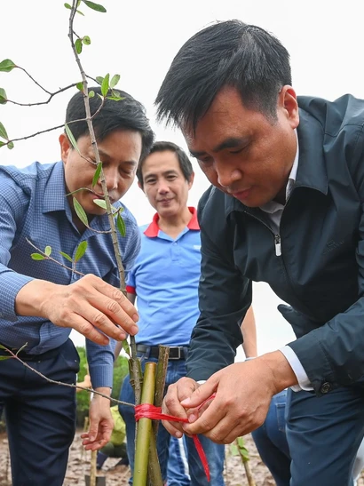 Thứ trưởng Bộ Nông nghiệp và Môi trường Nguyễn Quốc Trị trồng cây tại sự kiện.