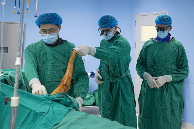 Bác sĩ phẫu thuật cho bệnh nhân. z6673804507420-90310e6539565a7956dd709ba9bd0335.jpg