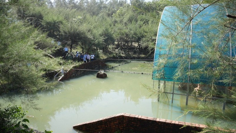 Vice Chairman of the Hue City People's Committee Hoang Hai Minh criticized the management unit and local authorities for being slow in reporting and implementing treatment plans, allowing prolonged flooding to affect the relic. thap-cham-3-4980.jpg