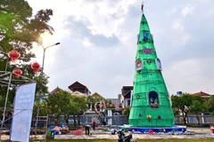 Giáo dân trang hoàng cây thông chào đón Giáng sinh tại Nhà thờ Phát Diệm, góp phần thu hút du khách. (Ảnh: VĂN LÚA)