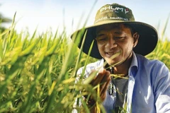 Nền tảng vững chắc từ hành trình 20 năm ESG