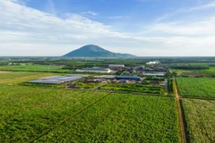 AgriS: Định vị nông nghiệp số trong kỷ nguyên mới